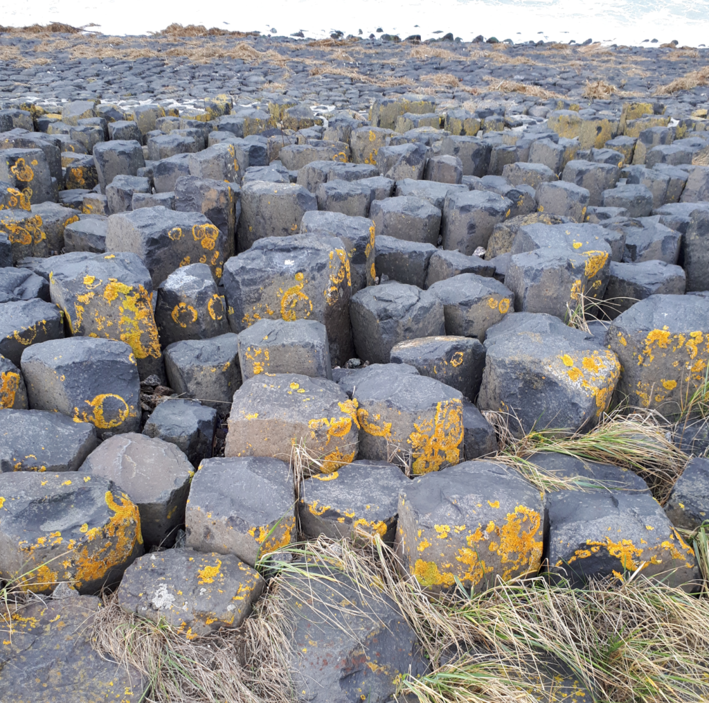 Kunstwerke der Natur, Borkum